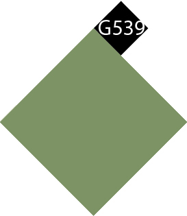 G-539